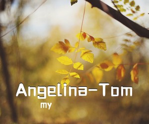 my《Angelina-Tom吉他谱》