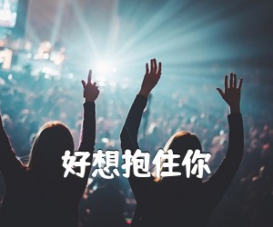 《好想抱住你吉他谱》(C调)