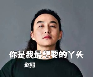 赵照《你是我最想要的丫头吉他谱》