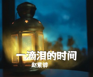 赵紫骅《一滴泪的时间吉他谱》(C调)