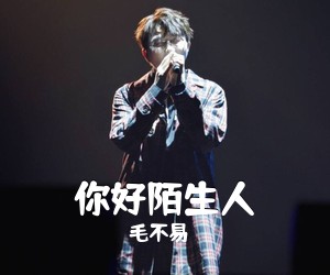 毛不易《你好陌生人吉他谱》(E调)