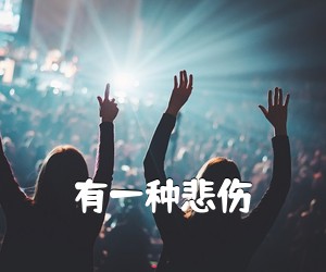 《有一种悲伤吉他谱》(A调)