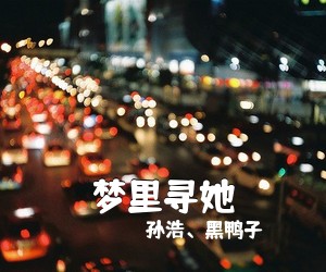孙浩、黑鸭子《梦里寻她简谱》