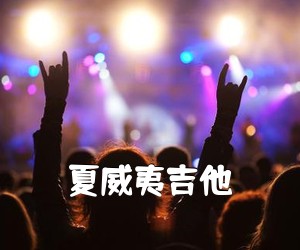 《夏威夷吉他吉他谱》(D调)