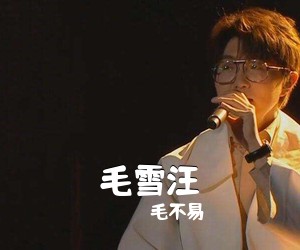 毛不易《毛雪汪吉他谱》(C调)