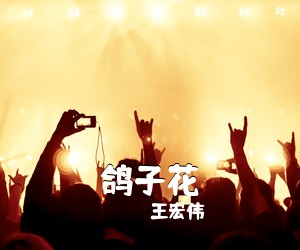 王宏伟《鸽子花简谱》