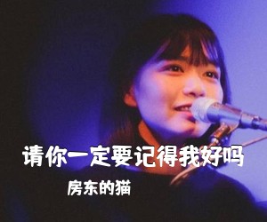 房东的猫《请你一定要记得我好吗吉他谱》(C调)
