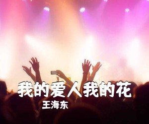 王海东《我的爱人我的花简谱》