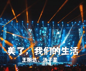 王丽达、汤子星《美了，我们的生活简谱》