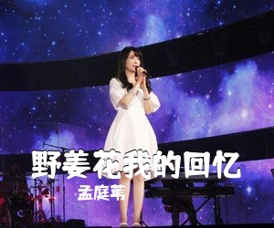 孟庭苇《野姜花我的回忆吉他谱》(C调)