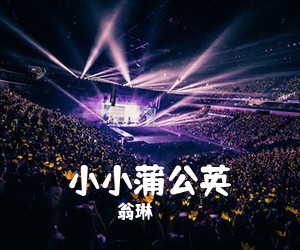 翁琳《小小蒲公英简谱》
