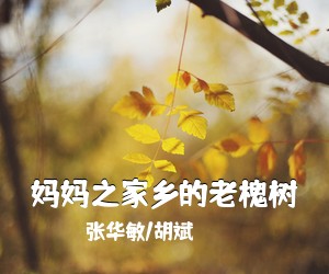 赵洁《草原的儿子简谱》