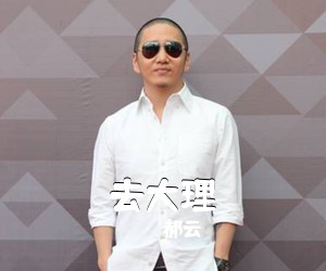 郝云《去大理吉他谱》(C调)