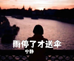 宁静《雨停了才送伞吉他谱》(C调)