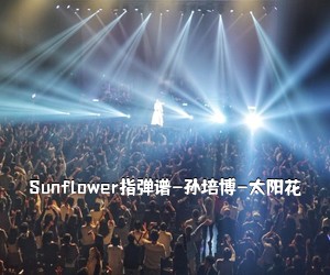 《Sunflower指弹谱-孙培博-太阳花吉他谱》