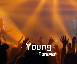 Forever《Young吉他谱》(C调)