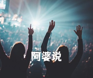 《阿婆说吉他谱》(G调)