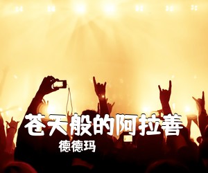 德德玛《苍天般的阿拉善简谱》