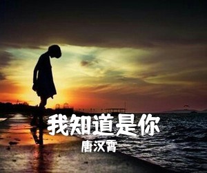 唐汉霄《我知道是你吉他谱》(G调)