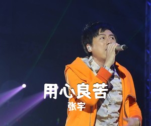 张宇《用心良苦吉他谱》(G调)