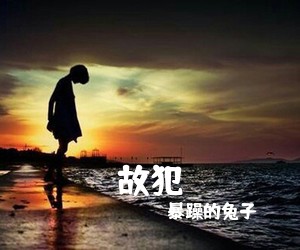 暴躁的兔子《故犯吉他谱》(C调)