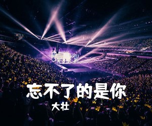 大壮《忘不了的是你吉他谱》