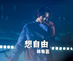 林宥嘉《想自由吉他谱》(G调)