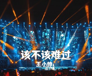 王小帅《该不该难过吉他谱》(C调)
