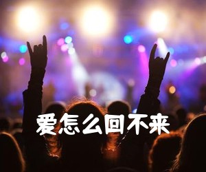 《爱怎么回不来吉他谱》(G调)