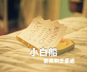 秦昊和王圣迪《小白船吉他谱》