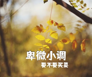 要不要买菜《卑微小调吉他谱》