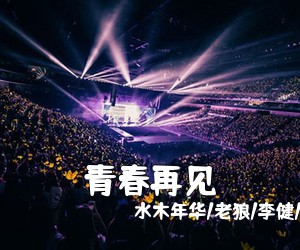 水木年华/老狼/李健/叶世荣《青春再见简谱》