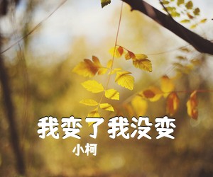 小柯《我变了我没变吉他谱》(G调)