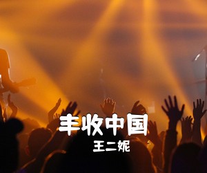王二妮《丰收中国简谱》