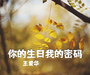 王爱华《你的生日我的密码简谱》