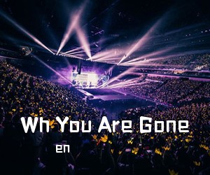 en《Wh You Are Gone吉他谱》(G调)