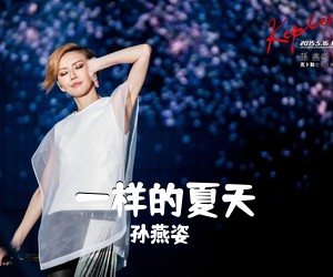 孙燕姿《一样的夏天吉他谱》(D调)