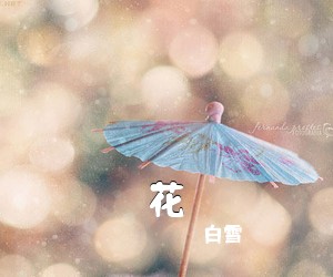 白雪《花吉他谱》(C调)