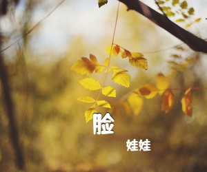 娃娃《脸吉他谱》(C调)
