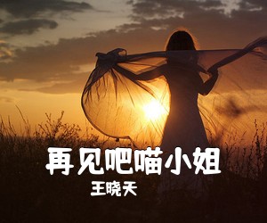 王晓天《再见吧喵小姐吉他谱》(C调)