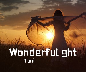 Toni《Wonderful ght吉他谱》(G调)