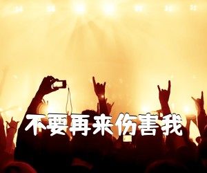 《不要再来伤害我吉他谱》(C调)