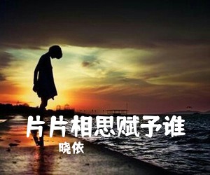晓依《片片相思赋予谁吉他谱》(C调)