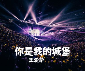 王爱华《你是我的城堡简谱》