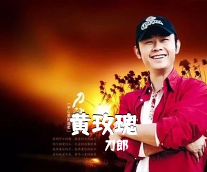 刀郎《黄玫瑰吉他谱》(G调)