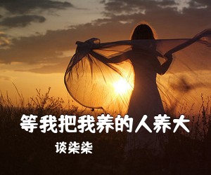 谈柒柒《等我把我养的人养大吉他谱》(G调)