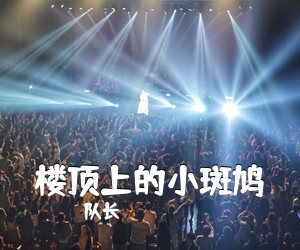 队长《楼顶上的小斑鸠吉他谱》(C调)