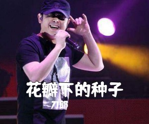刀郎《花瓣下的种子简谱》