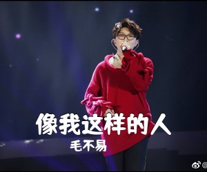 毛不易《像我这样的人吉他谱》(C调)