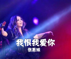 张惠妹《我恨我爱你吉他谱》(G调)